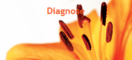 diagnose 120